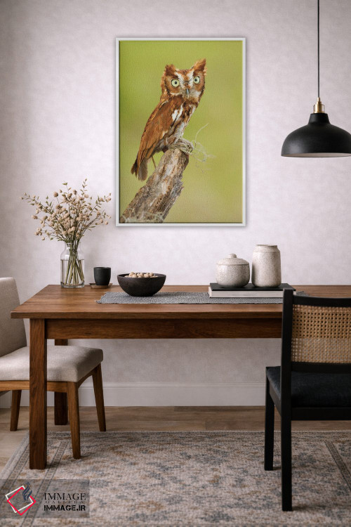 تابلو دکوراتیو کوچک اما قدرتمند اثر جنت فیکار - D2W