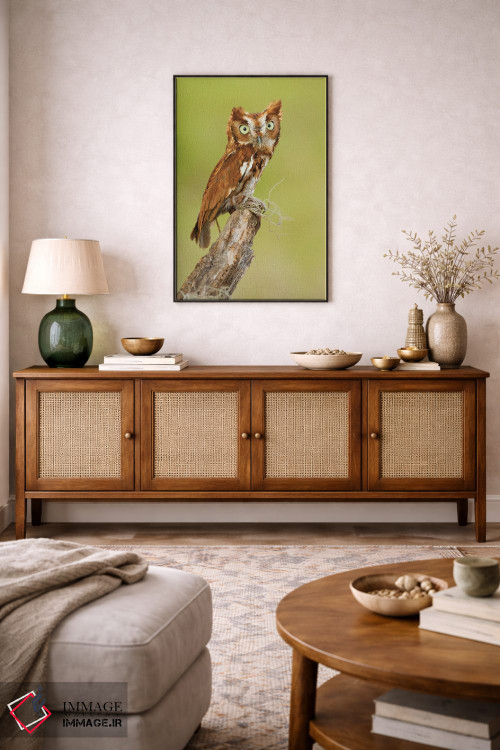 تابلو دکوراتیو کوچک اما قدرتمند اثر جنت فیکار - D5B