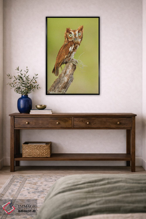 تابلو دکوراتیو کوچک اما قدرتمند اثر جنت فیکار - D6B