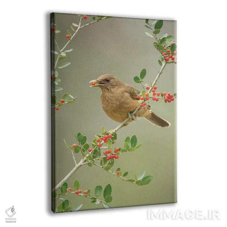 تابلو دکوراتیو یکی برمی دارم اثر جنت فیکار - نمای پرسپکتیو محصول