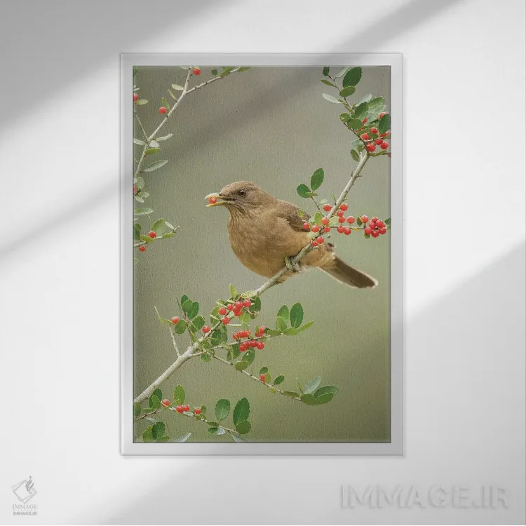 تابلو دکوراتیو یکی برمی دارم اثر جنت فیکار - نمای قابدار سفید