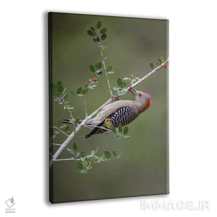 تابلو دکوراتیو دزدکی به خانه رفتن اثر جنت فیکار - نمای پرسپکتیو محصول