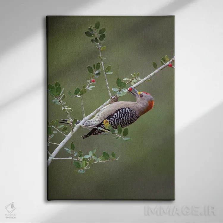 تابلو دکوراتیو دزدکی به خانه رفتن اثر جنت فیکار - نمای روبهرو روی دیوار