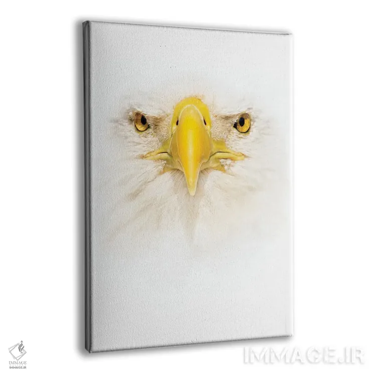 تابلو دکوراتیو صورت عقاب سرسفید اثر جنت فیکار - نمای پرسپکتیو محصول