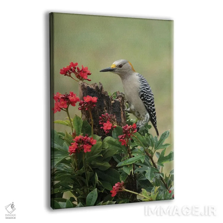 تابلو دکوراتیو طبیعت و دارکوب اثر جنت فیکار - نمای پرسپکتیو محصول