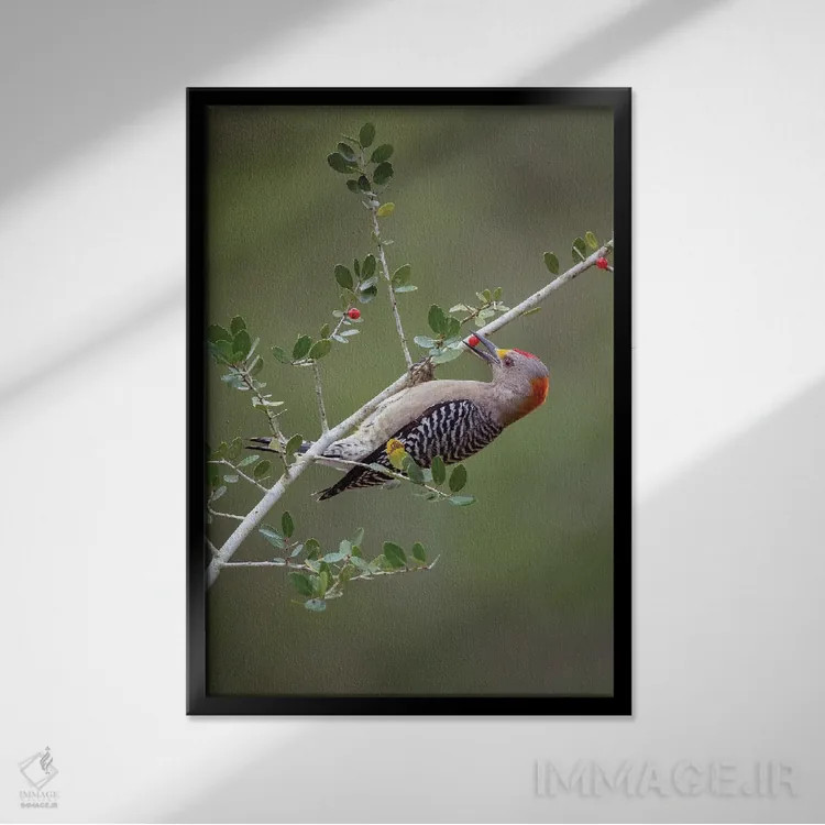 تابلو دکوراتیو دزدکی به خانه رفتن اثر جنت فیکار - نمای قابدار مشکی