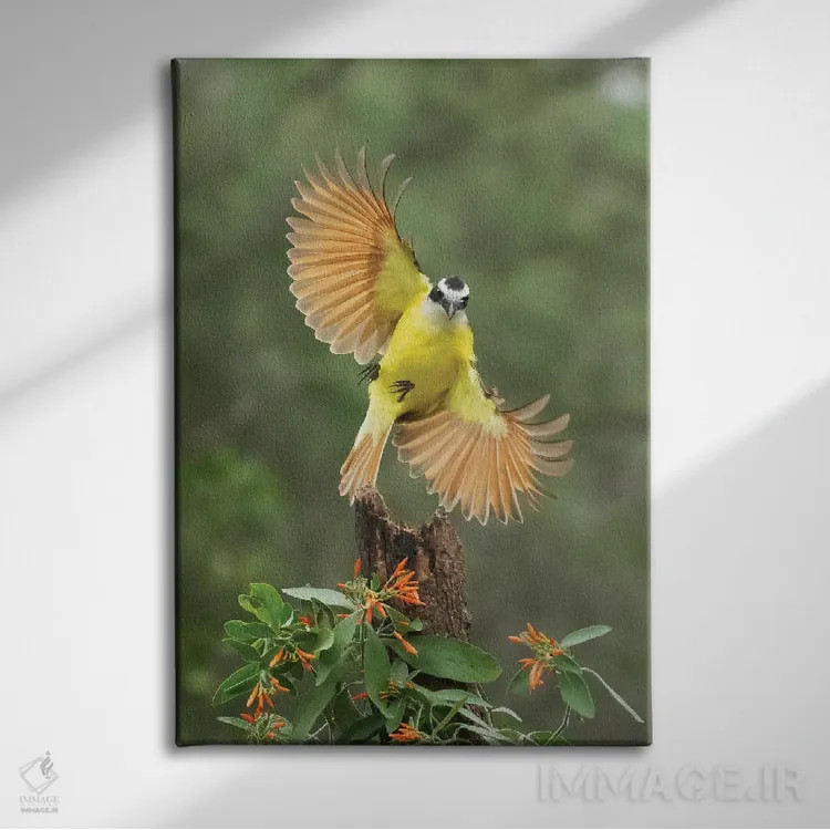 تابلو دکوراتیو ضربه بانکی اثر جنت فیکار - نمای روبهرو روی دیوار