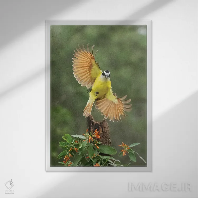 تابلو دکوراتیو ضربه بانکی اثر جنت فیکار - نمای قابدار سفید