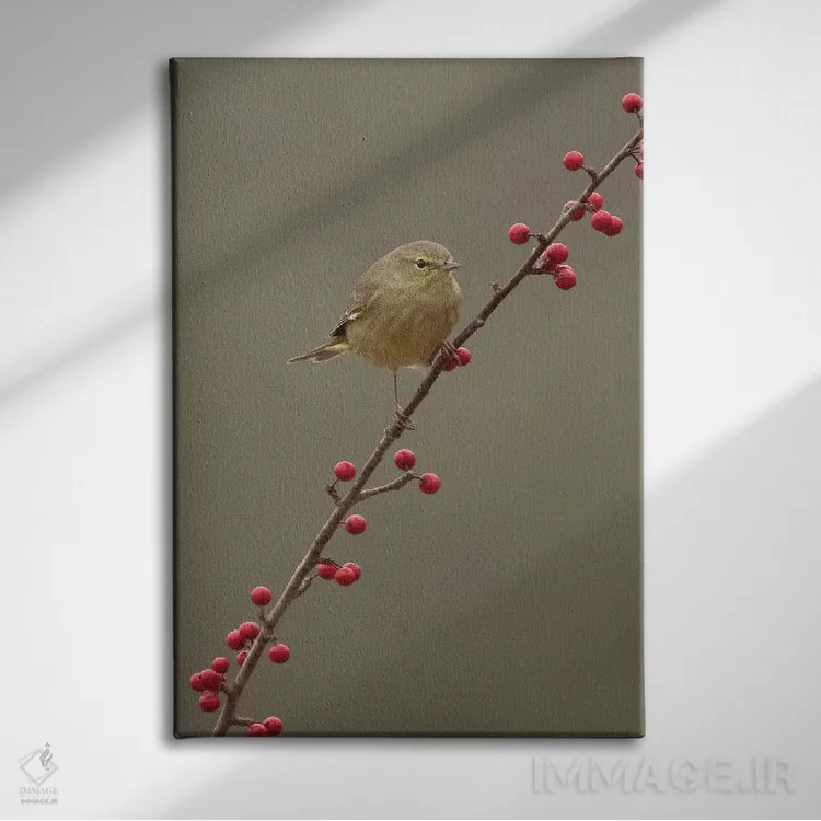 تابلو دکوراتیو تازه رسیده اثر جنت فیکار - نمای روبهرو روی دیوار