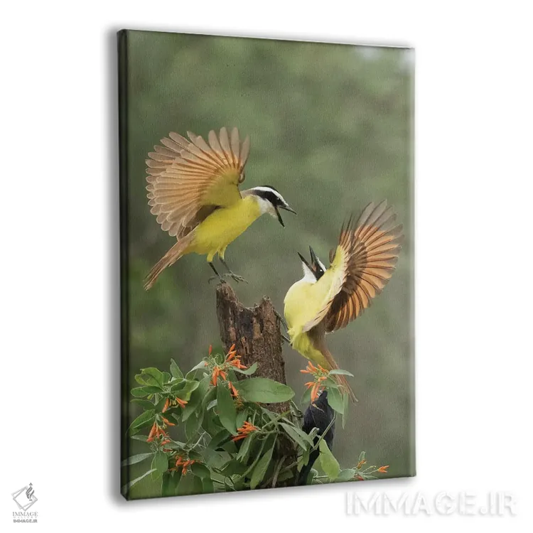 تابلو دکوراتیو دعواهای خانوادگی اثر جنت فیکار - نمای پرسپکتیو محصول