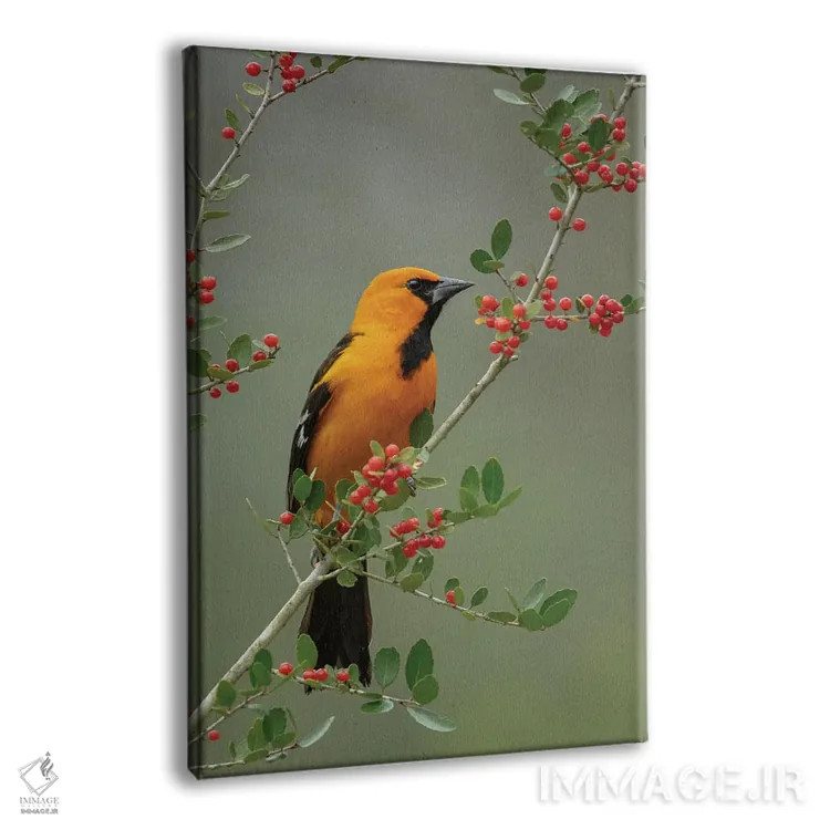 تابلو دکوراتیو این سمت خوب من است اثر جنت فیکار - نمای پرسپکتیو محصول