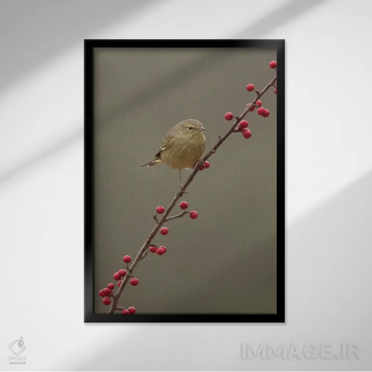 تابلو دکوراتیو تازه رسیده اثر جنت فیکار - نمای قابدار مشکی