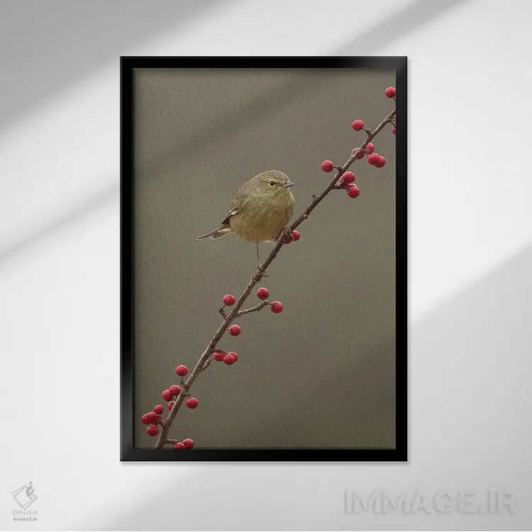 تابلو دکوراتیو تازه رسیده اثر جنت فیکار - نمای قابدار مشکی