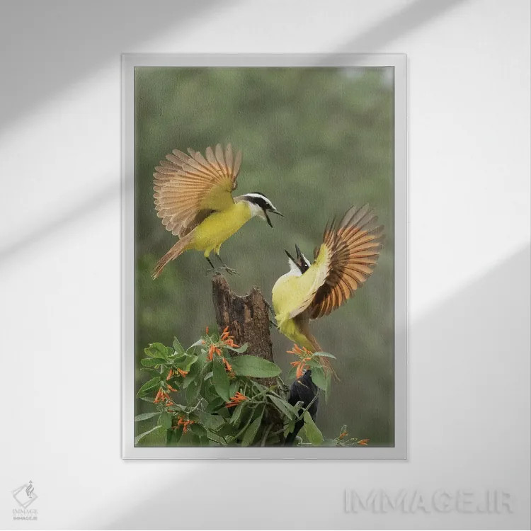 تابلو دکوراتیو دعواهای خانوادگی اثر جنت فیکار - نمای قابدار سفید