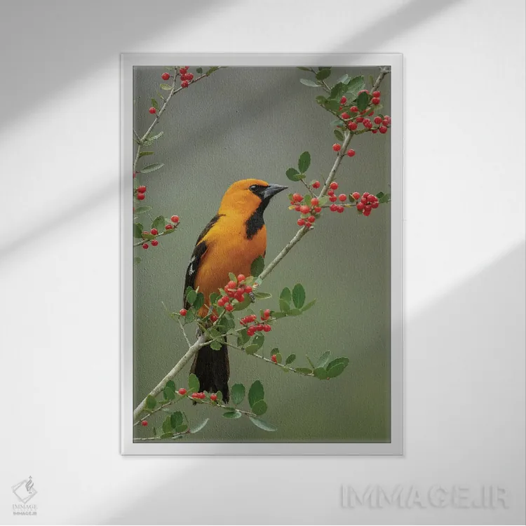 تابلو دکوراتیو این سمت خوب من است اثر جنت فیکار - نمای قابدار سفید