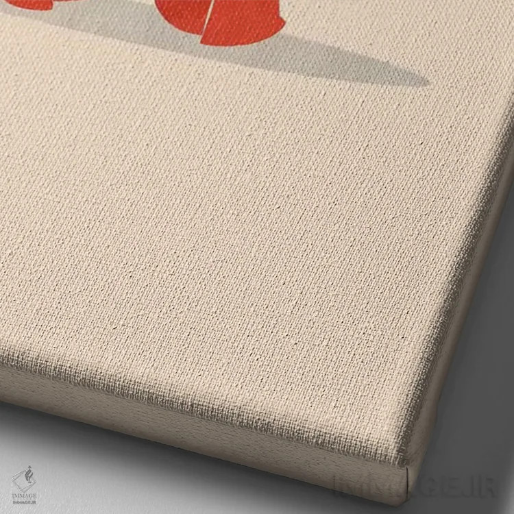 تابلو دکوراتیو گربه چاق سوار لاک پشت اثر جی فلک - نمای نزدیک بافت بوم