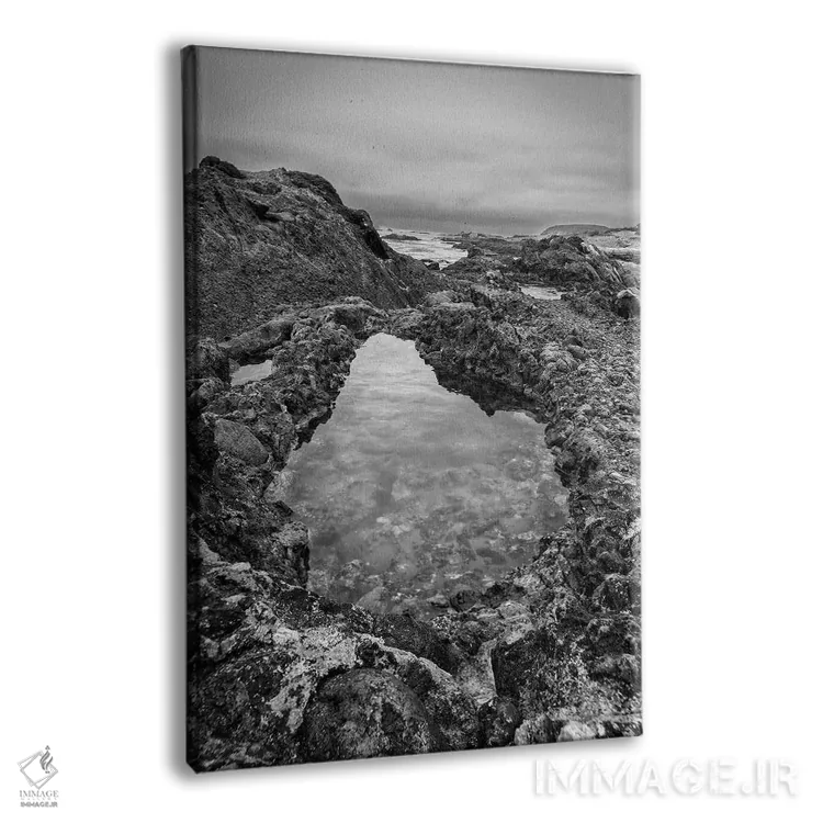تابلو دکوراتیو California, Carmel, Point Lobos,آمریکا، کالیفرنیا، کارمل، پوین… اثر جان فورد - نمای پرسپکتیو محصول