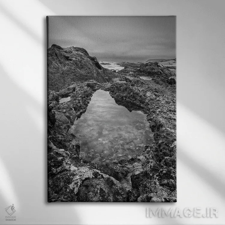 تابلو دکوراتیو California, Carmel, Point Lobos,آمریکا، کالیفرنیا، کارمل، پوین… اثر جان فورد - نمای روبهرو روی دیوار