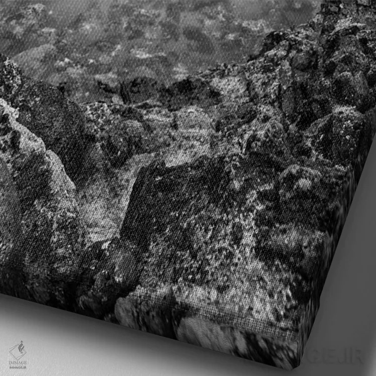 تابلو دکوراتیو California, Carmel, Point Lobos,آمریکا، کالیفرنیا، کارمل، پوین… اثر جان فورد - نمای نزدیک بافت بوم