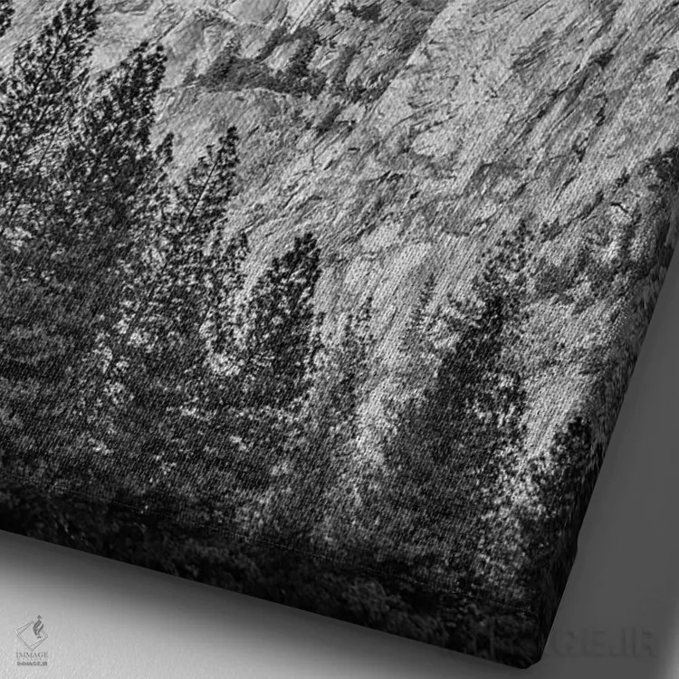 تابلو دکوراتیو California, Yosemite, Half Dome,آمریکا، کالیفرنیا، یوسمیتی، ها… اثر جان فورد - نمای نزدیک بافت بوم