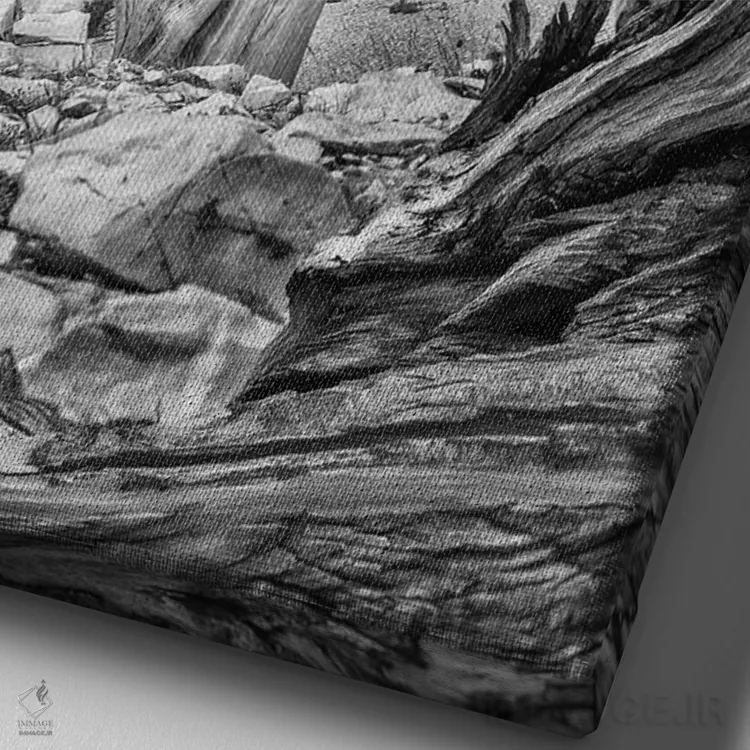 تابلو دکوراتیو Eastern Sierra, White Mountains, Bristlecone Pines,آمریکا، سیر… اثر جان فورد - نمای نزدیک بافت بوم