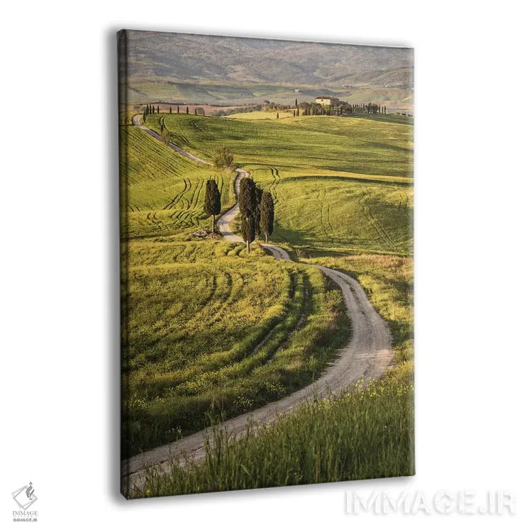 تابلو دکوراتیو Italy, Tuscany, Val D'Orcia,اروپا، ایتالیا، توسکانی، واله دورچ… اثر جان فورد - نمای پرسپکتیو محصول