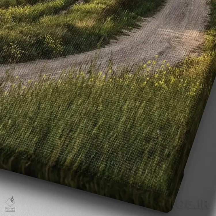 تابلو دکوراتیو Italy, Tuscany, Val D'Orcia,اروپا، ایتالیا، توسکانی، واله دورچ… اثر جان فورد - نمای نزدیک بافت بوم