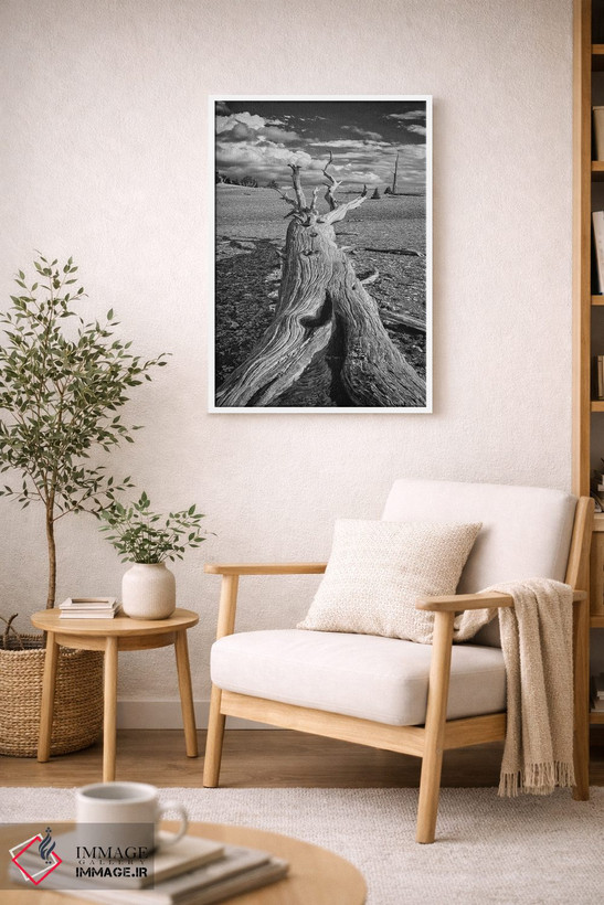 تابلو دکوراتیو Eastern Sierra, White Mountains, Bristlecone Pines,آمریکا، سیر… اثر جان فورد - D5W