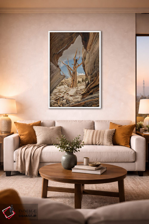 تابلو دکوراتیو Eastern Sierra, White Mountains, Bristlecone Pines,آمریکا، سیر… اثر جان فورد - D1W