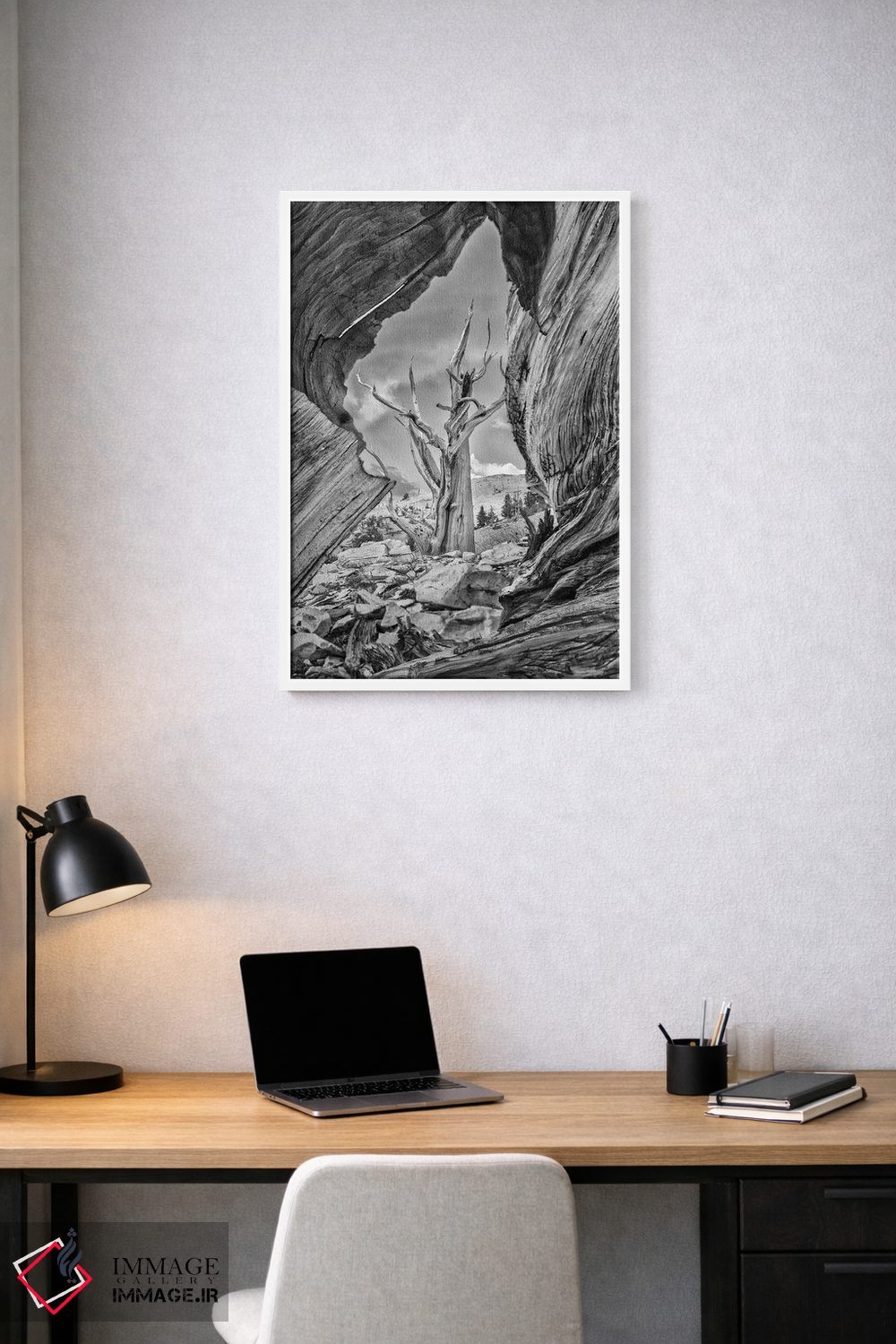 تابلو دکوراتیو Eastern Sierra, White Mountains, Bristlecone Pines,آمریکا، سیر… اثر جان فورد - D1W