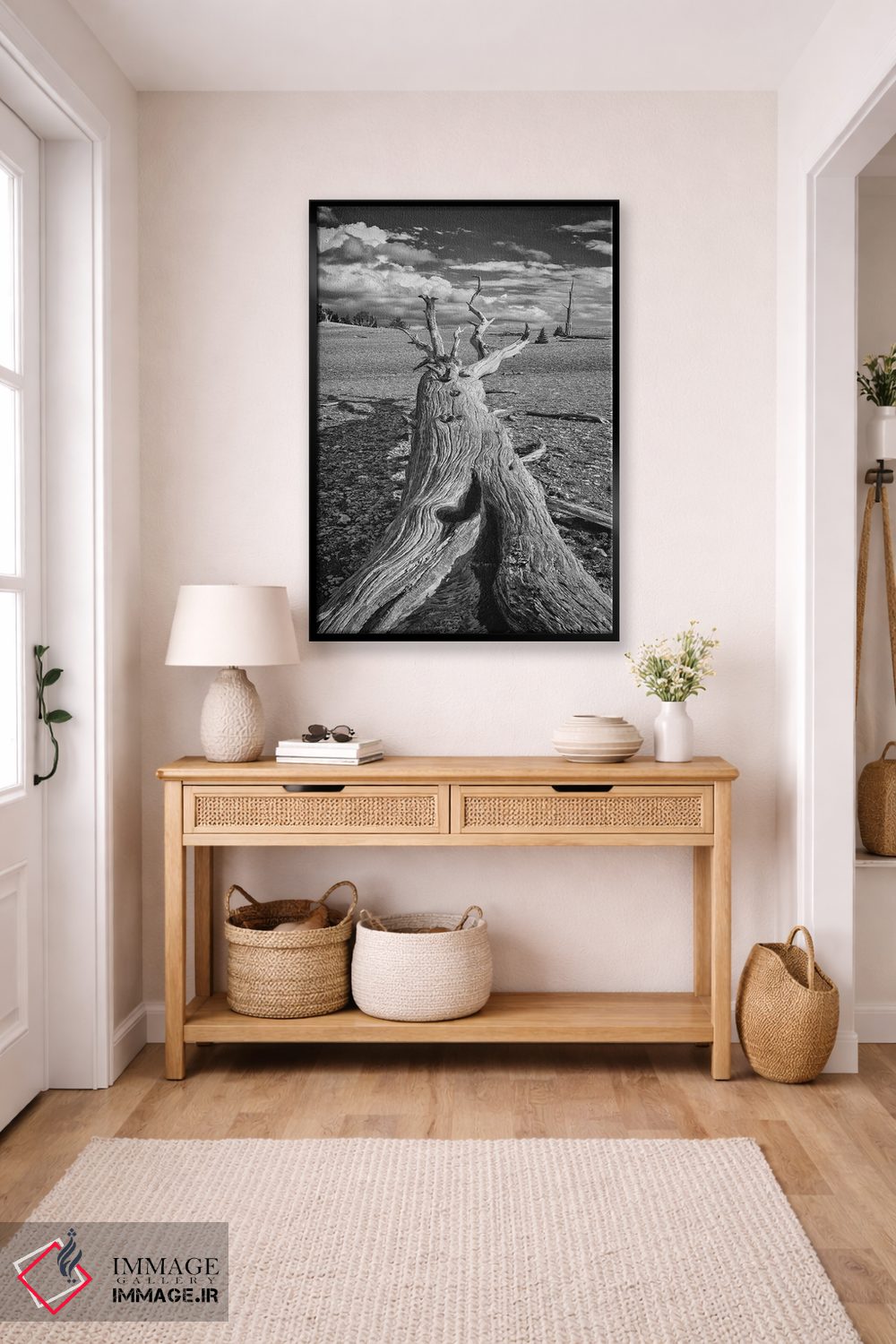 تابلو دکوراتیو Eastern Sierra, White Mountains, Bristlecone Pines,آمریکا، سیر… اثر جان فورد - D6B