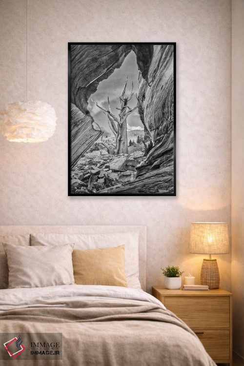 تابلو دکوراتیو Eastern Sierra, White Mountains, Bristlecone Pines,آمریکا، سیر… اثر جان فورد - D2B