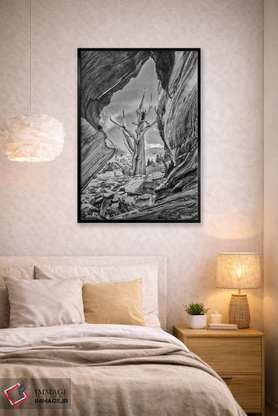 تابلو دکوراتیو Eastern Sierra, White Mountains, Bristlecone Pines,آمریکا، سیر… اثر جان فورد - D2B