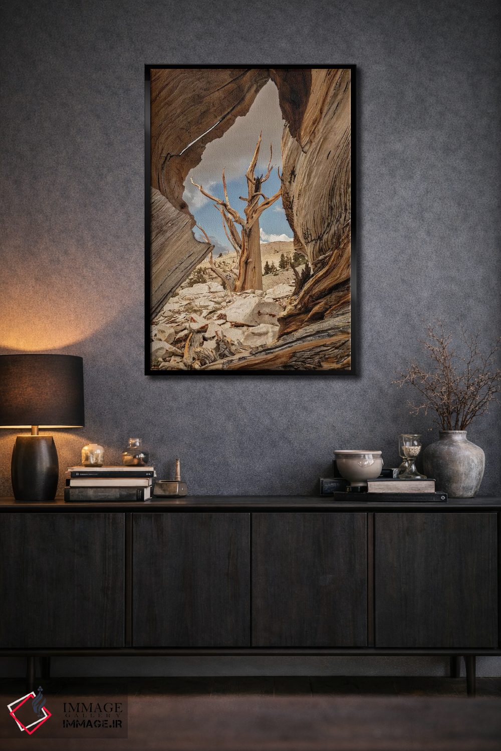 تابلو دکوراتیو Eastern Sierra, White Mountains, Bristlecone Pines,آمریکا، سیر… اثر جان فورد - D2B
