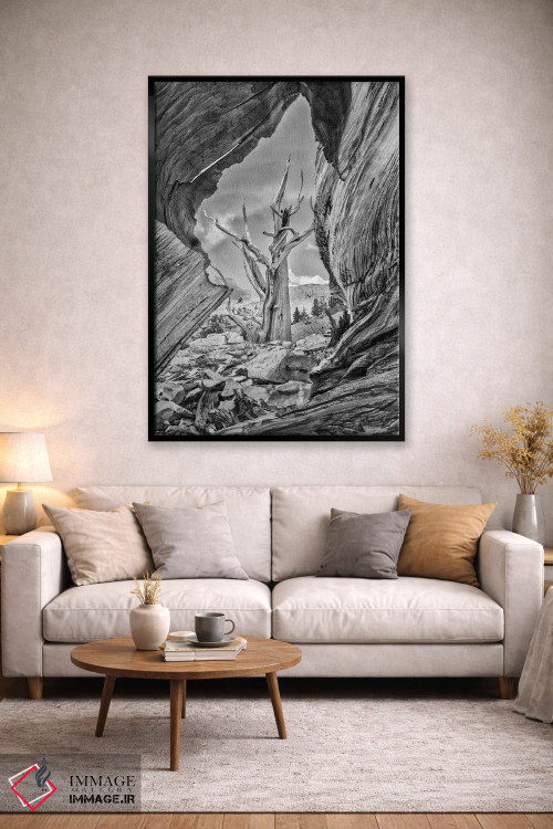 تابلو دکوراتیو Eastern Sierra, White Mountains, Bristlecone Pines,آمریکا، سیر… اثر جان فورد - D3B