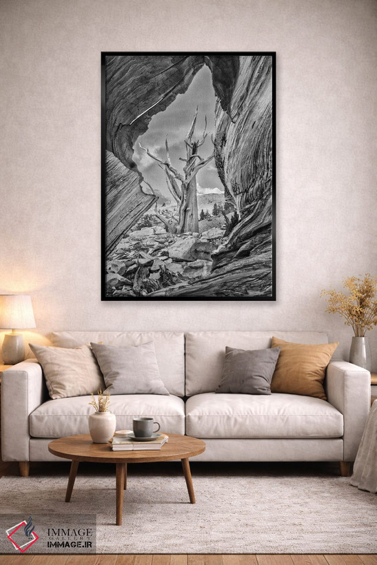 تابلو دکوراتیو Eastern Sierra, White Mountains, Bristlecone Pines,آمریکا، سیر… اثر جان فورد - D3B