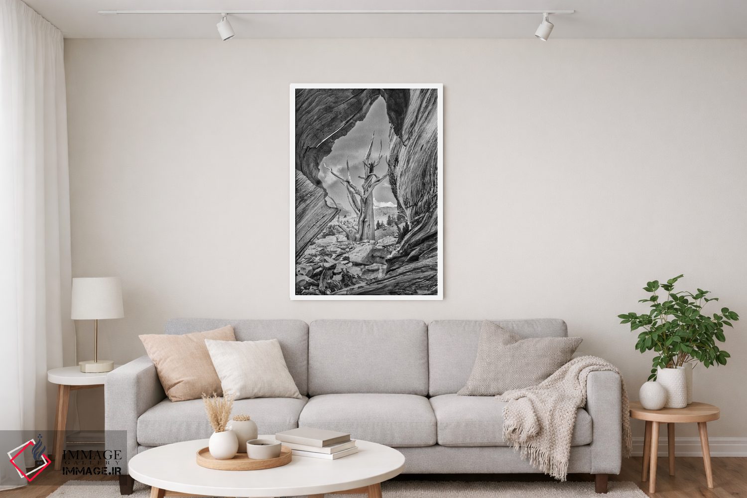تابلو دکوراتیو Eastern Sierra, White Mountains, Bristlecone Pines,آمریکا، سیر… اثر جان فورد - D5W