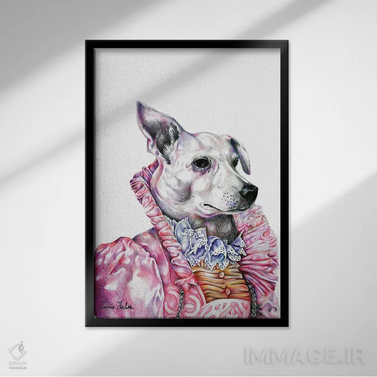 تابلو دکوراتیو ناوی اثر جیمی فوربز - نمای قابدار مشکی