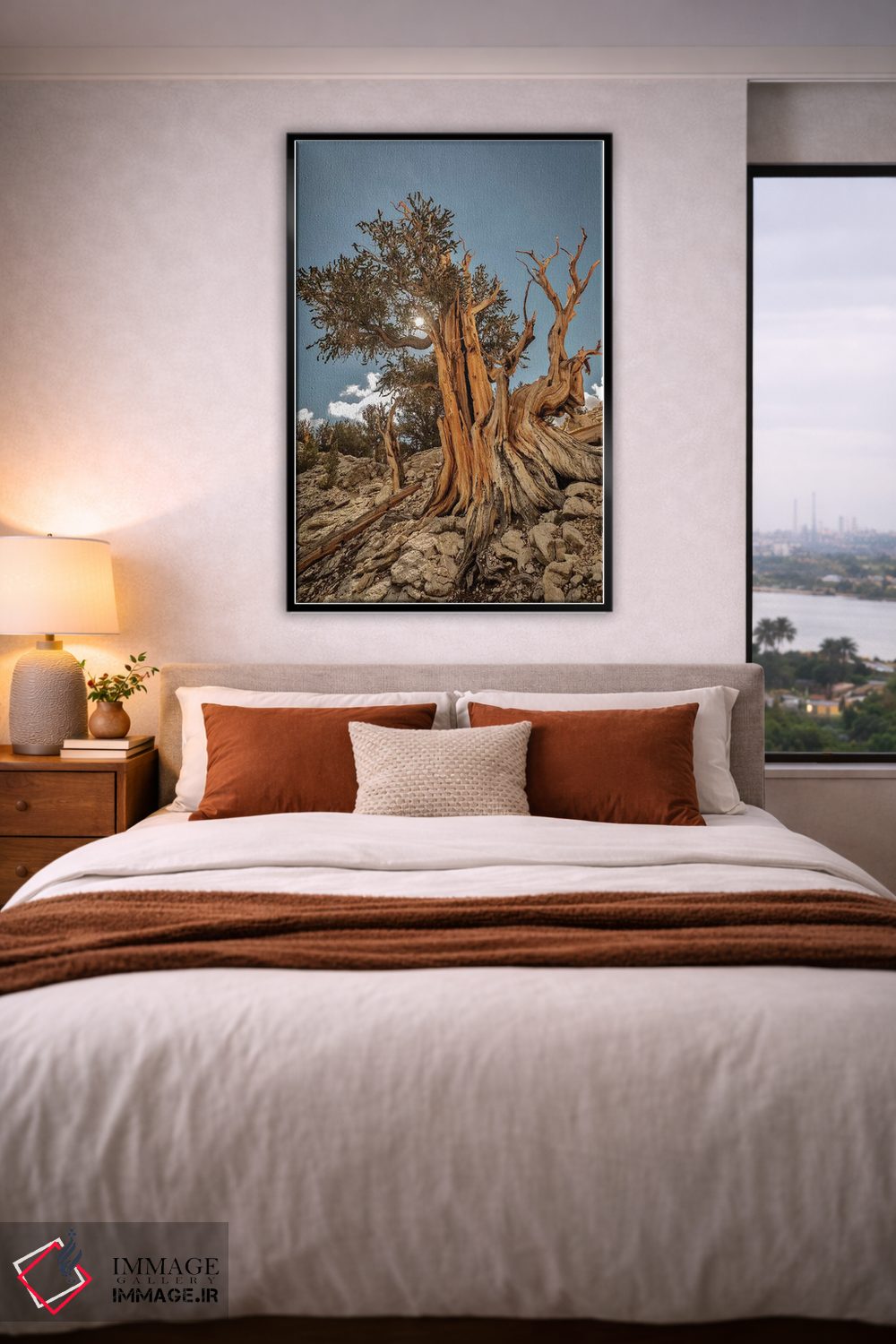 تابلو دکوراتیو Eastern Sierra, White Mountains, Bristlecone Pines,آمریکا، سیر… اثر جان فورد - D4B