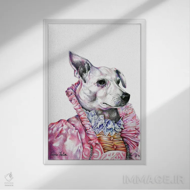 تابلو دکوراتیو ناوی اثر جیمی فوربز - نمای قابدار سفید