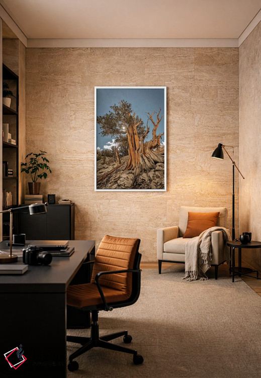تابلو دکوراتیو Eastern Sierra, White Mountains, Bristlecone Pines,آمریکا، سیر… اثر جان فورد - D5W