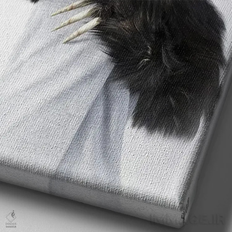 تابلو دکوراتیو تنبل در وان اثر جوفری فیلیپ - نمای نزدیک بافت بوم