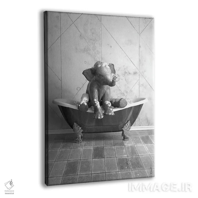 تابلو دکوراتیو طرح فیل برای حمام، پوستر بامزه فیل اثر جوفری فیلیپ - نمای پرسپکتیو محصول