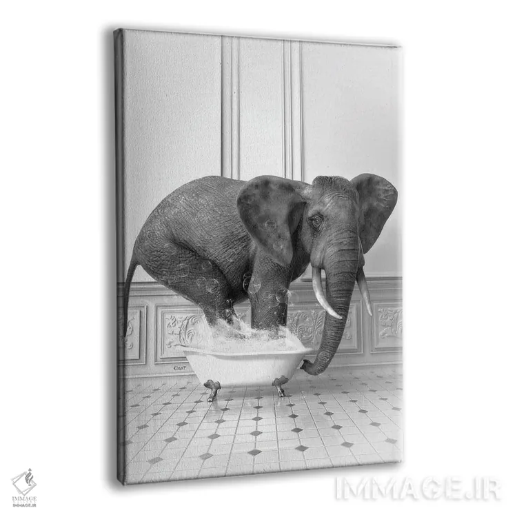 تابلو دکوراتیو فیل در حمام سیاه و سفید اثر جوفری فیلیپ - نمای پرسپکتیو محصول