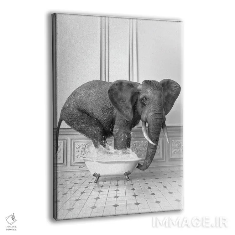 تابلو دکوراتیو فیل در حمام سیاه و سفید اثر جوفری فیلیپ - نمای پرسپکتیو محصول