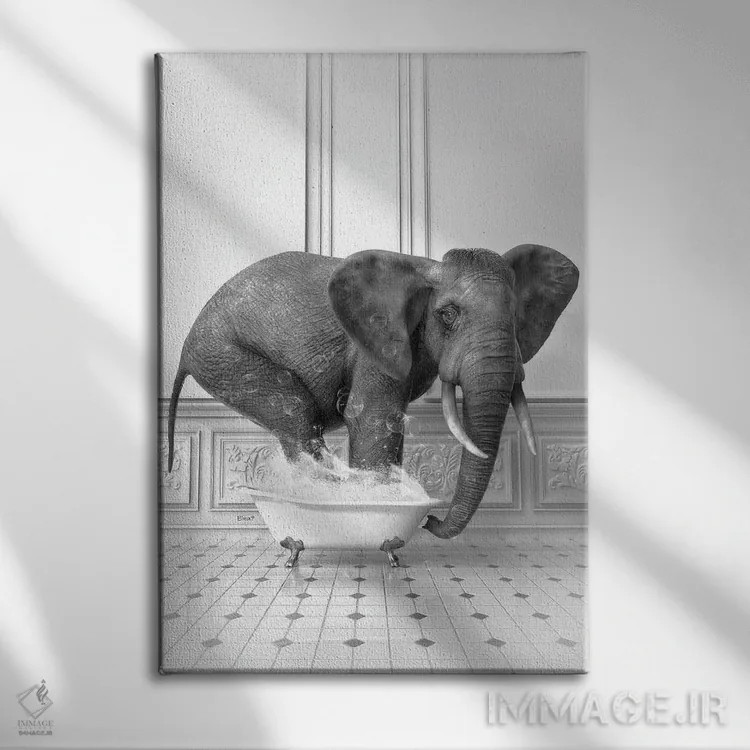 تابلو دکوراتیو فیل در حمام سیاه و سفید اثر جوفری فیلیپ - نمای روبهرو روی دیوار