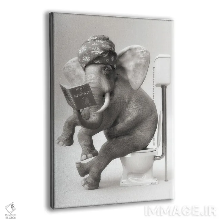 تابلو دکوراتیو فیل در توالت با یک کتاب اثر جوفری فیلیپ - نمای پرسپکتیو محصول