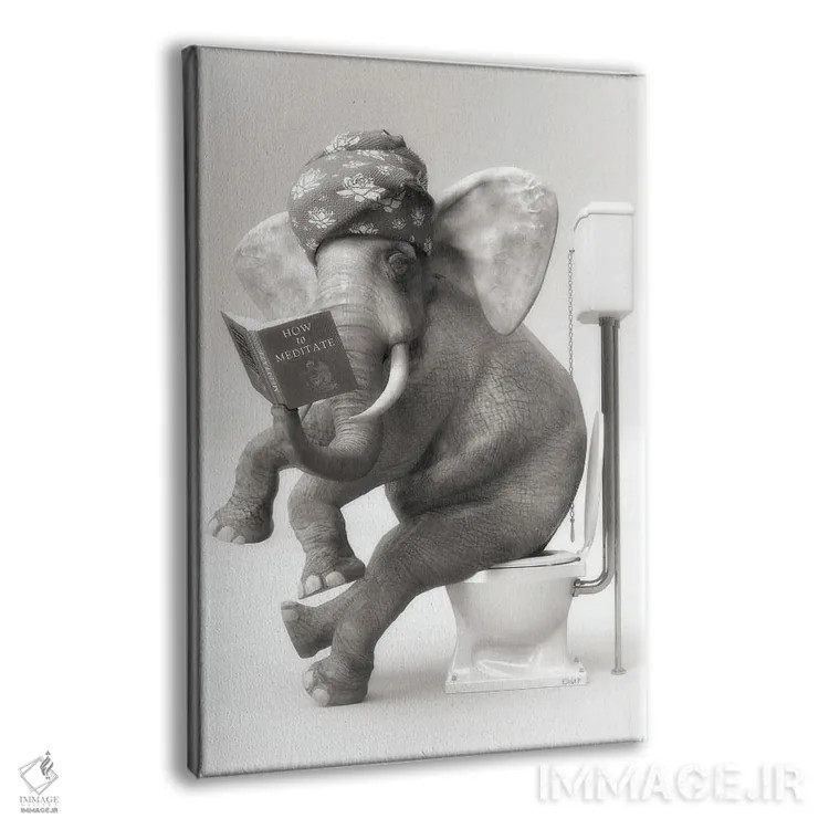تابلو دکوراتیو فیل در توالت با یک کتاب اثر جوفری فیلیپ - نمای پرسپکتیو محصول