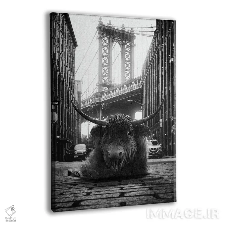 تابلو دکوراتیو گاو کوهستانی در خیابان اثر جوفری فیلیپ - نمای پرسپکتیو محصول