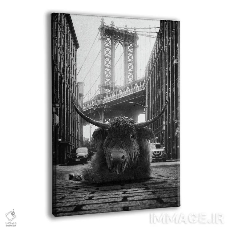 تابلو دکوراتیو گاو کوهستانی در خیابان اثر جوفری فیلیپ - نمای پرسپکتیو محصول